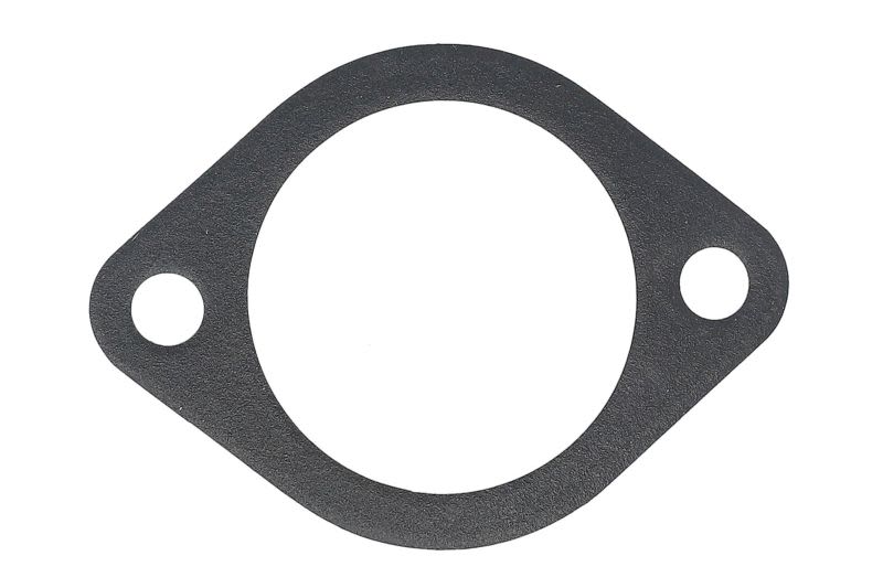 Empaquetadura de carcasa de termostato AJUSA 01118900 para Hyundai Porte