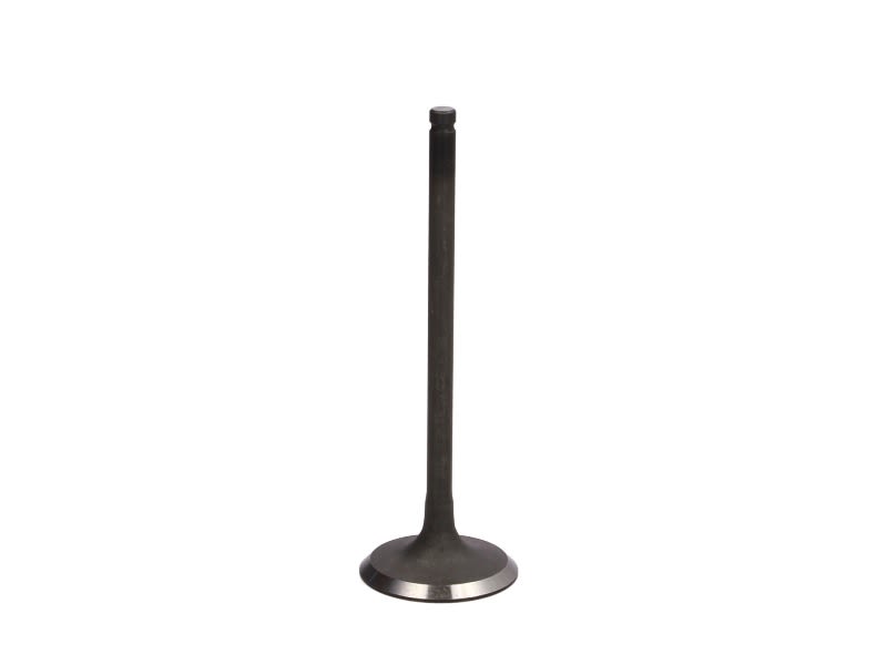 Válvula de admisión FRECCIA R6294/SNT para Toyota Camry