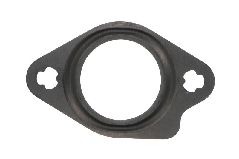 Empaquetadura de tubo de la válvula EGR PAYEN KE0008 para Mercedes-Benz Clase C (W203) 2000-2007