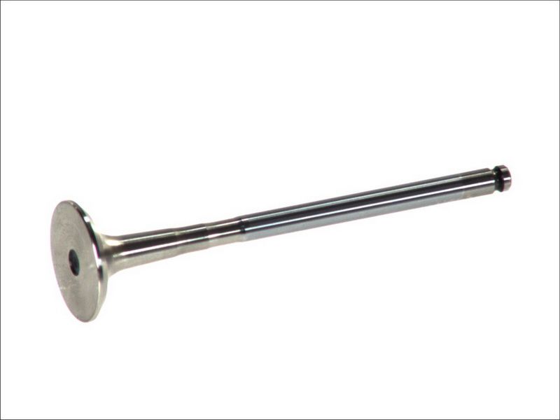 Válvula de escape FRECCIA R6158/BMCR para Citroen C5 I