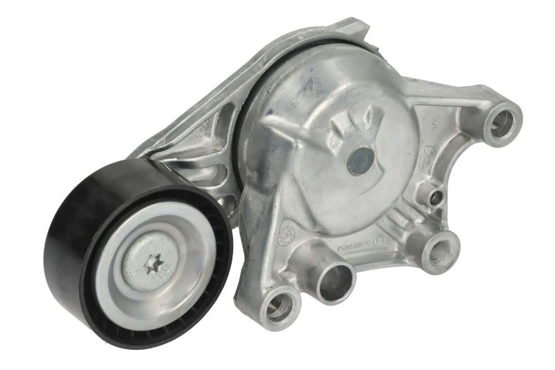 Palanca tensora de correa multicanal DAYCO APV3797 para Citroen C3 II