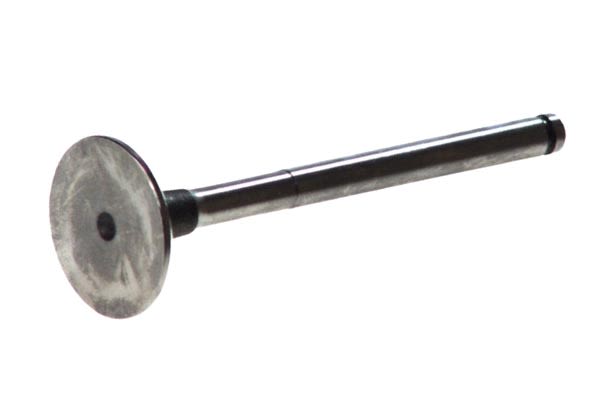 Válvula de admisión FRECCIA R4719/S para Renault Clio I