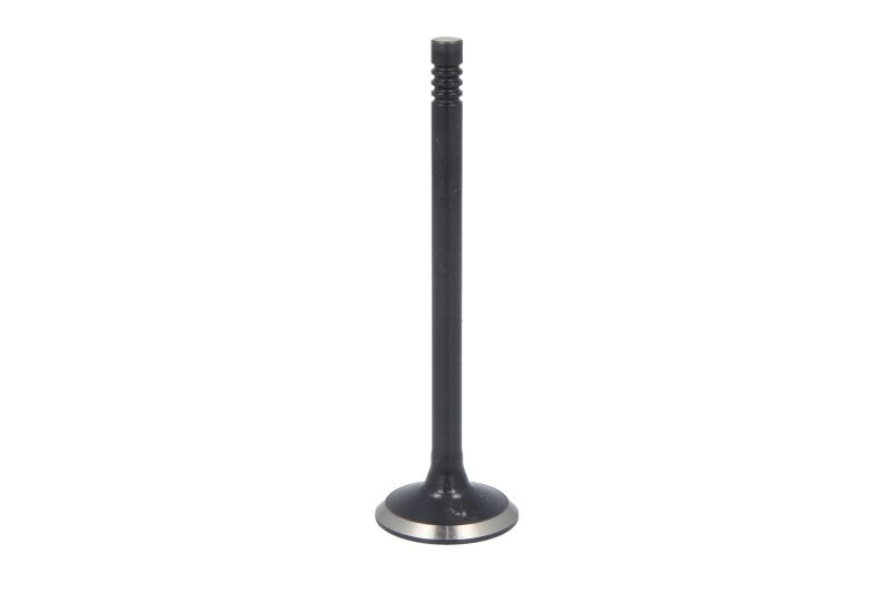 Válvula de escape DNJ EV1135 para Dodge Caravan