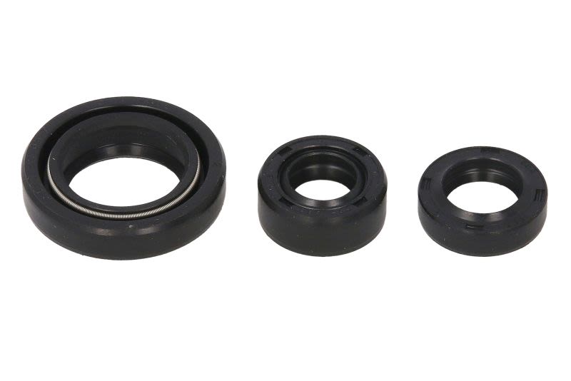 Juego de retenes de motor WINDEROSA W822254 para Suzuki Lt-F