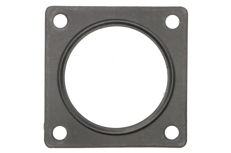 Empaquetadura de válvula EGR AJUSA 01193000 para Ssangyong Actyon I