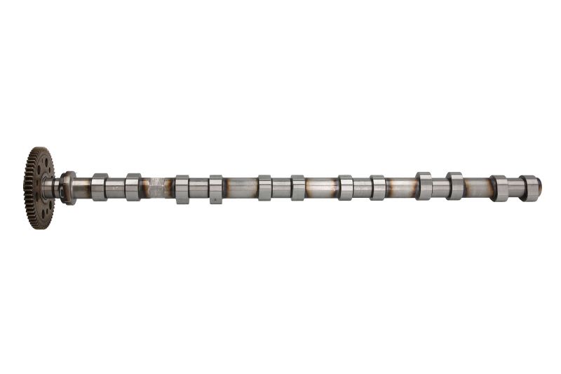 Árbol de levas MOTIVE T2137 para BMW Serie 3 (E46) 1997-2006