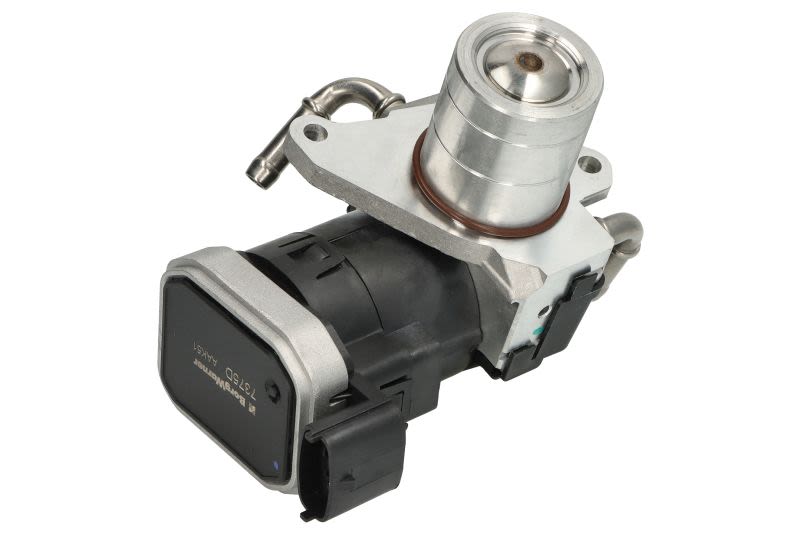 Válvula EGR BORG WARNER 7375D para Opel Astra G