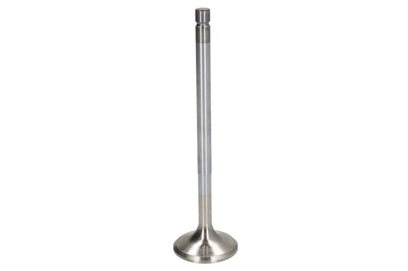 Válvula de escape FRECCIA R6489/BMCR para DAF 85 CF