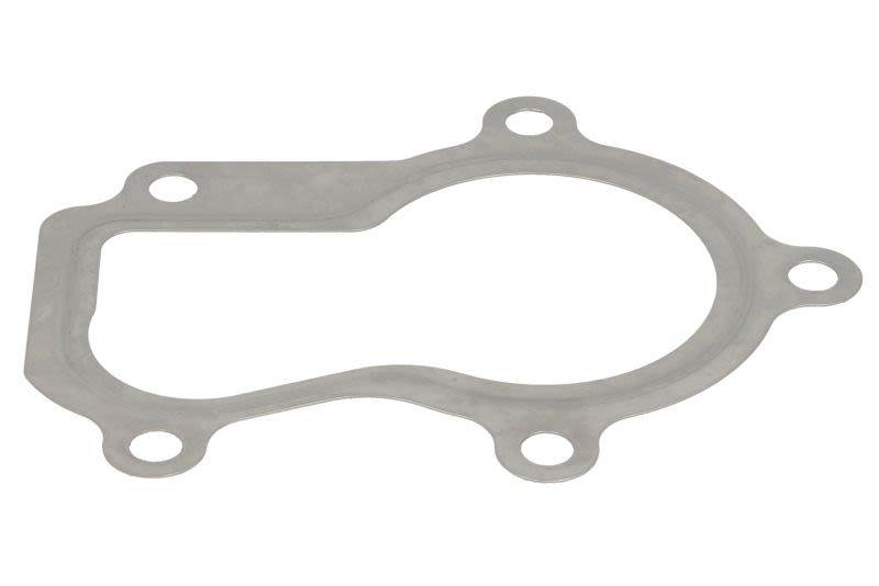 Empaquetadura de turbocompresor LEMA 21830.05 para Iveco Eurofire II