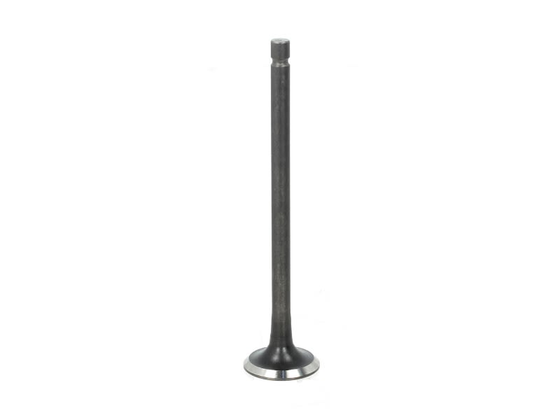 Válvula de escape FRECCIA R6431/RNT para Nissan Note