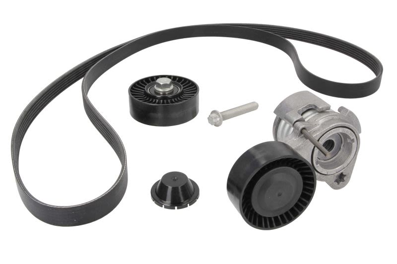 Juego de correa multinervada INA 529 0043 10 para BMW Serie 1 (E81) 2006-2011
