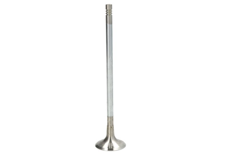 Válvula de escape TRW 331130 para Volkswagen Golf V