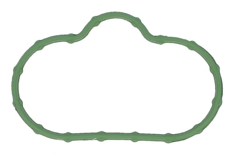 Empaquetadura de múltiple de admisión REINZ 71-12608-00 para Jaguar XF I