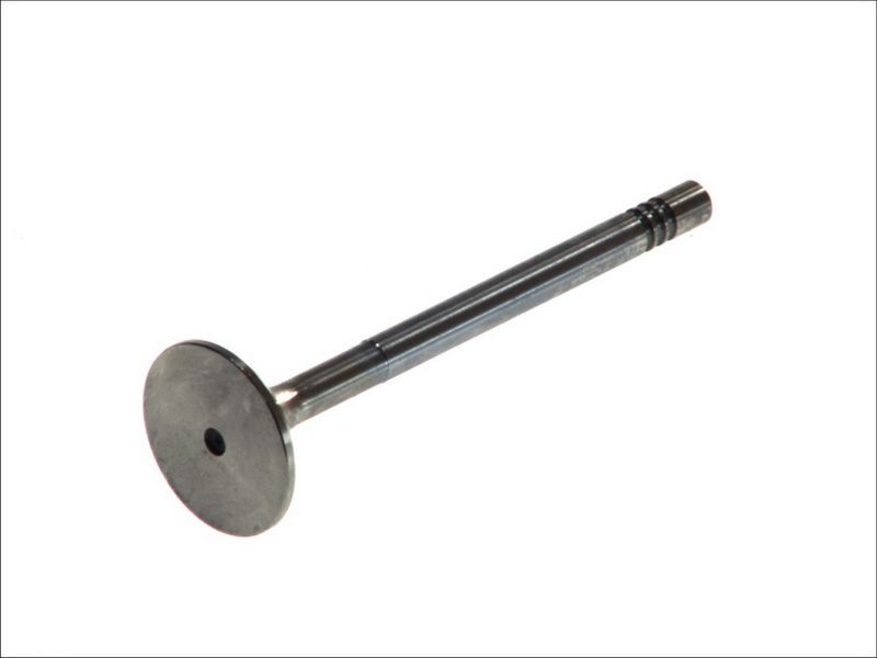 Válvula de escape FRECCIA R4943/BMCR para Fiat Palio