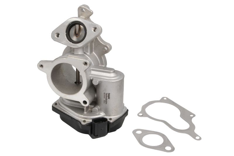 Válvula EGR DELPHI EG10404-12B1 para Audi A4 B7