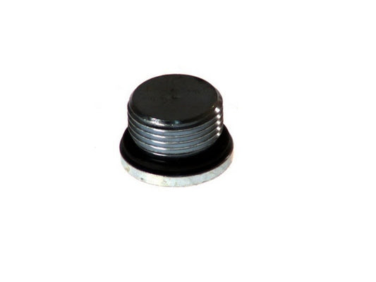Tapa de masa de rueda AUGER 54641