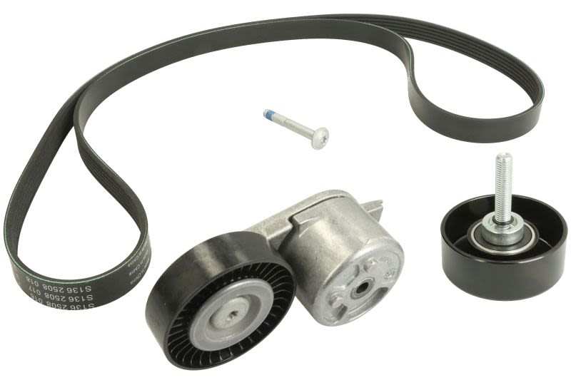 Juego de correa multinervada INA 529 0218 10 para Ford S-Max