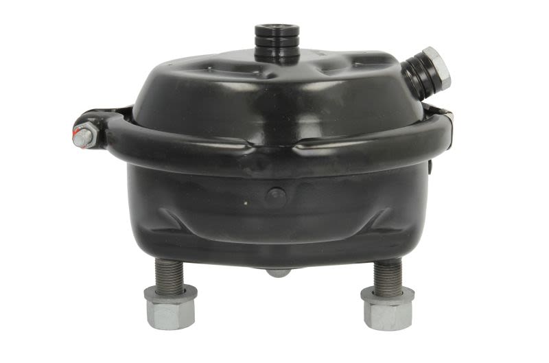 Cilindro de freno de diafragma DT SPARE PARTS 5.70305 para DAF XF