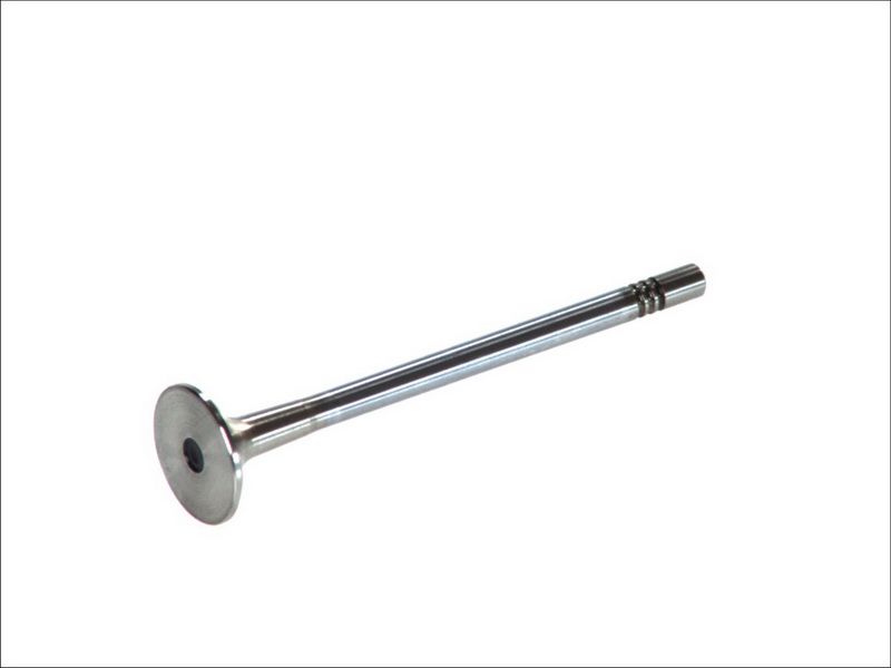 Válvula de escape FRECCIA R6454/BMARCR para Audi A4 B6