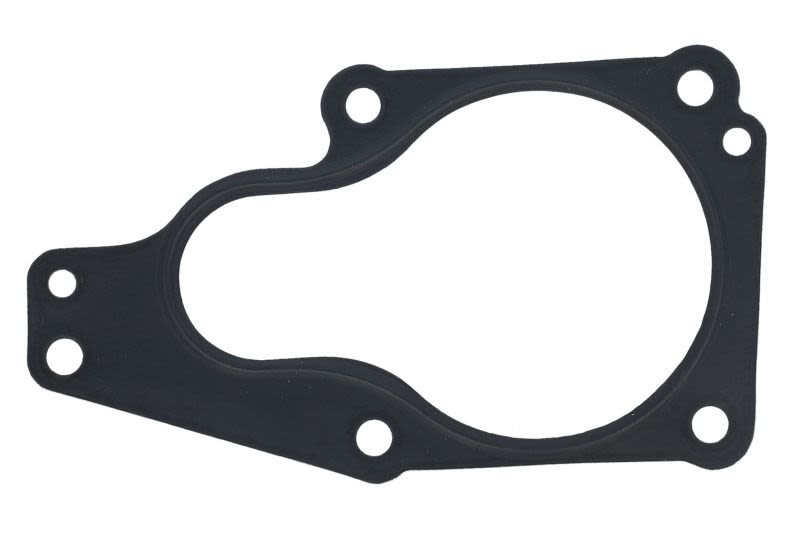 Empaquetadura de válvula EGR AJUSA 01118200 para Volkswagen Golf IV