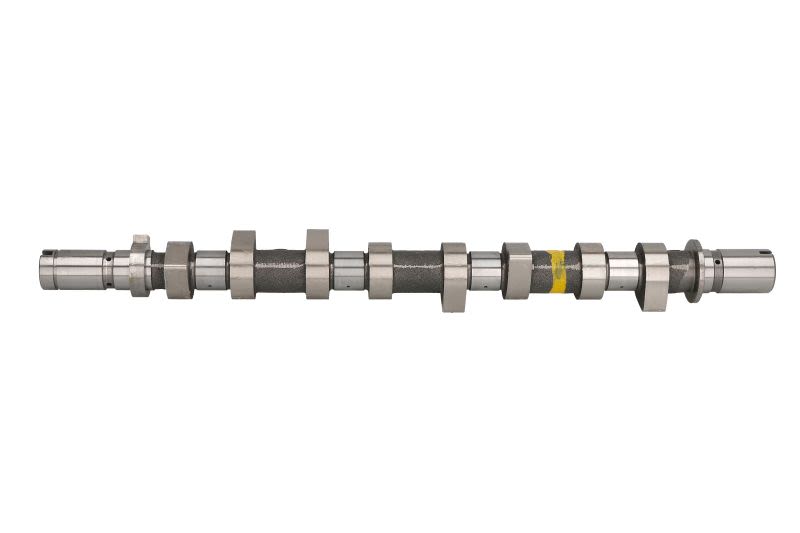 Árbol de levas AMC 647303 para Renault Clio II