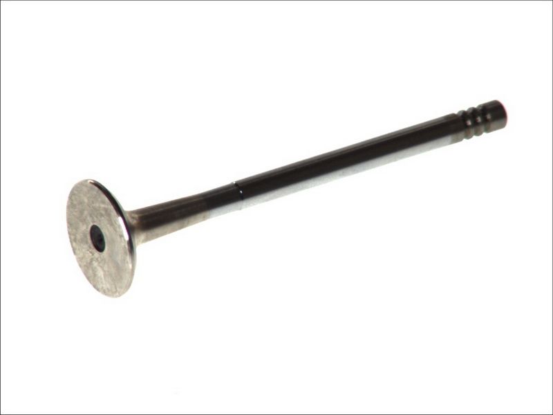 Válvula de escape FRECCIA R4729/RCR para Fiat Punto