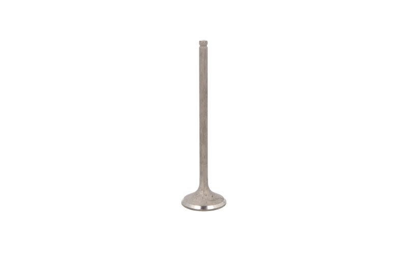 Válvula de escape FRECCIA R6556/RNT para Honda Accord VII