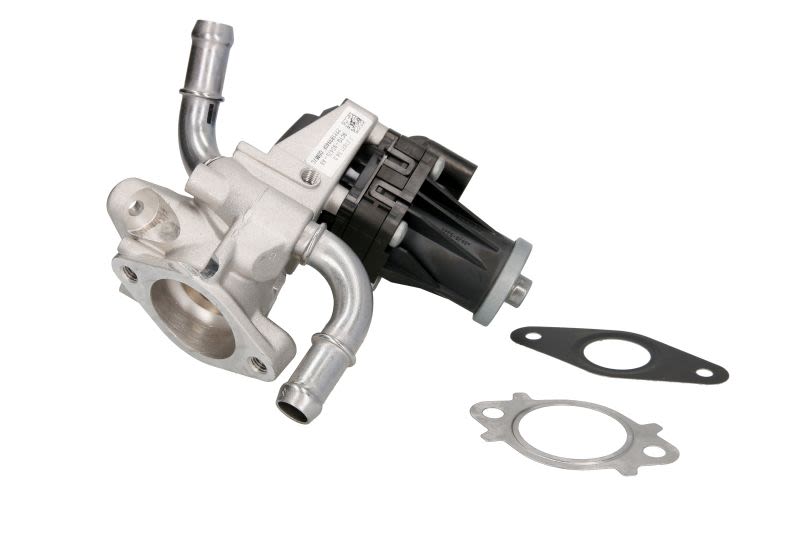 Válvula EGR PIERBURG 7.01621.08.0 para Ford Transit