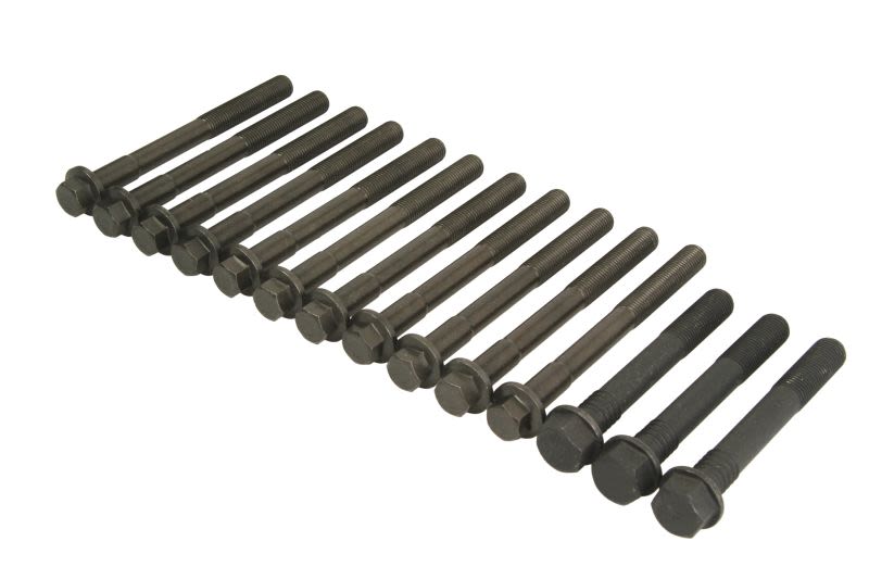 Juego de pernos de culata REINZ 14-32284-03 para Scania 3