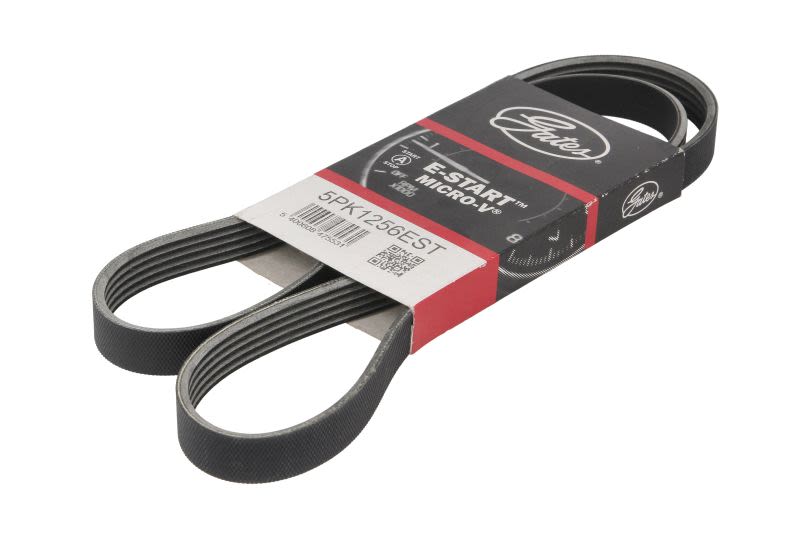 Correa multinervada GATES 5PK1256EST para Mercedes-Benz Clase A (V177) 2018-