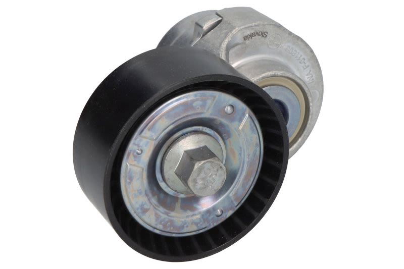 Palanca tensora de correa multicanal INA 533 0061 20 para Iveco Daily V