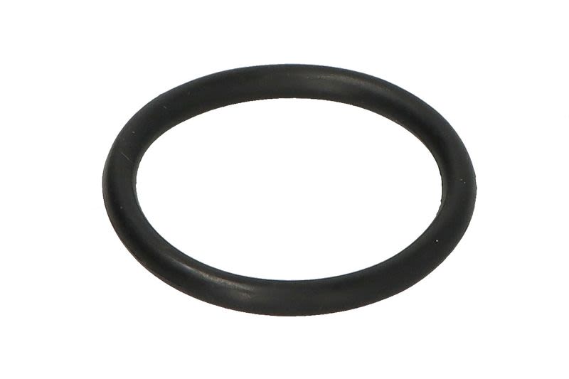 Empaquetadura del termostato AJUSA 16514100 para BMW Serie 1 (F20) 2011-2019