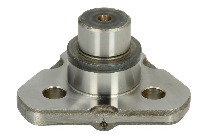 Perno rey CARRARO 133084-CR para Case IH 58