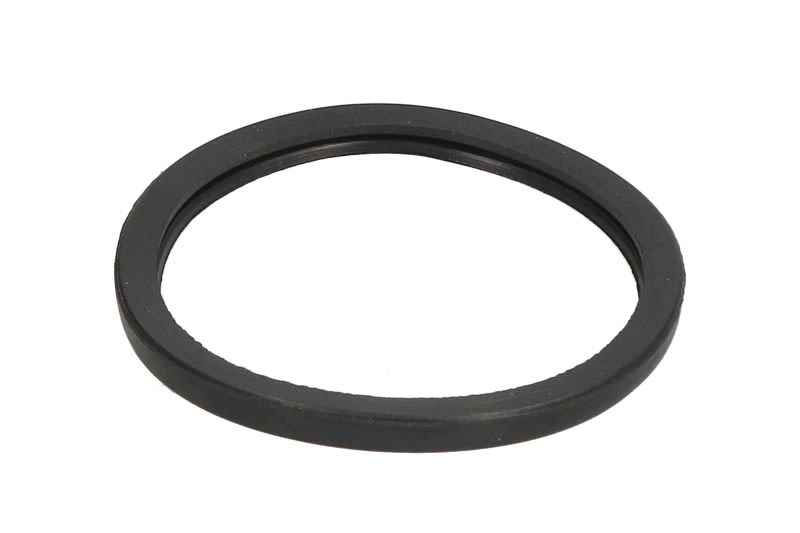 Empaquetadura de carcasa de termostato LEMA 24808.00 para Iveco Daily I