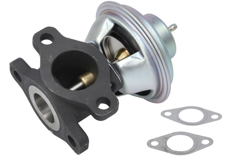 Válvula EGR DELPHI EG10623-12B1 para Peugeot Boxer 1.9D/2.5D/2.8D
