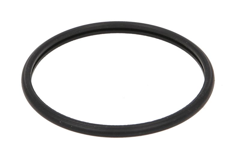 Empaquetadura del termostato FPT 504387771-FPT para Carraro 100 F
