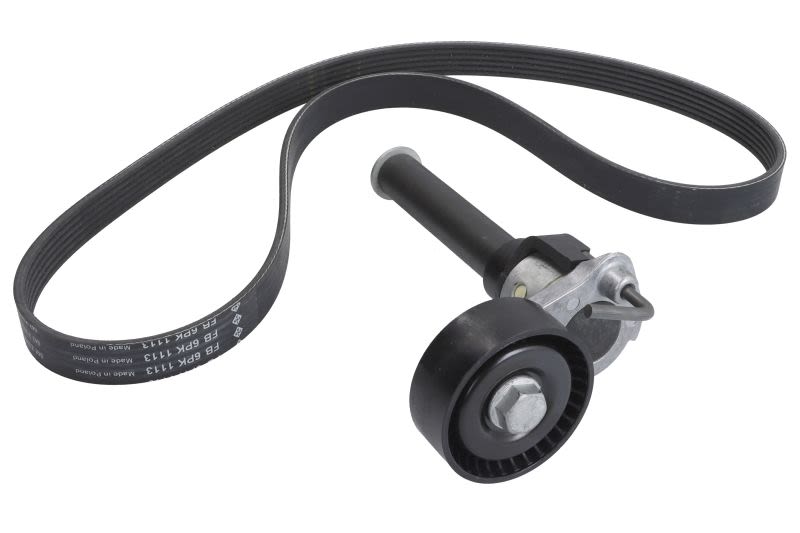 Juego de correa multinervada INA 529 0514 10 para Volkswagen Golf V