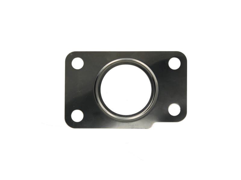 Empaquetadura de turbocompresor LEMA 21801.00
