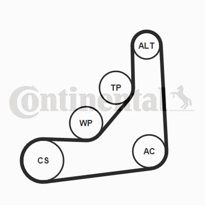 Juego de correa multinervada CONTITECH 6PK1165K1 para BMW Serie 1 (F20) 2011-2019