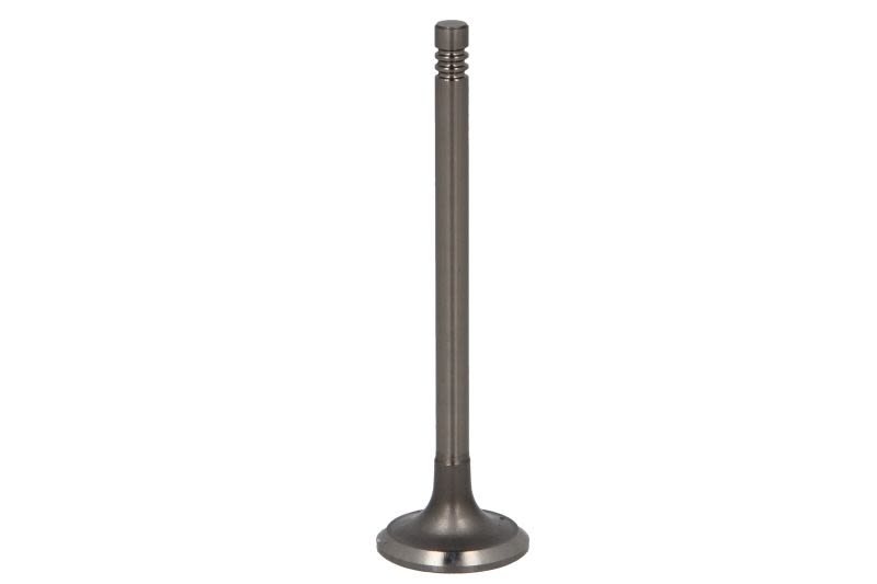 Válvula de escape MAHLE 081 VA 31261 000 para Chrysler Neon II