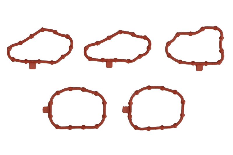 Juego de empaquetaduras de tapa de válvulas REINZ 15-10053-01 para Nissan Navara NP300