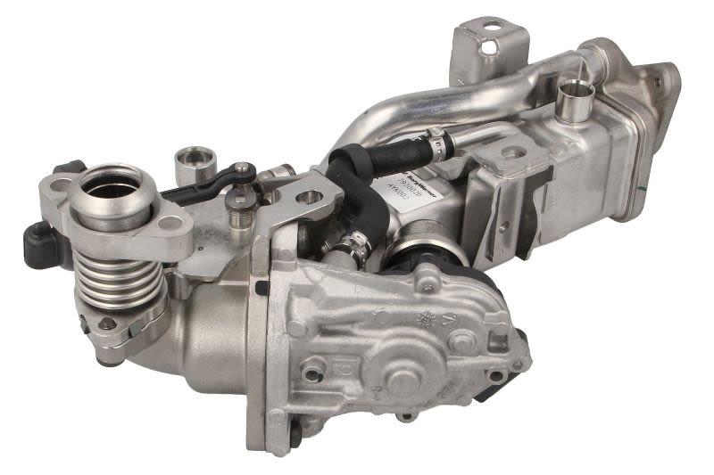 Módulo EGR BORG WARNER 792002D para BMW Serie 1 (F20) 2011-2019