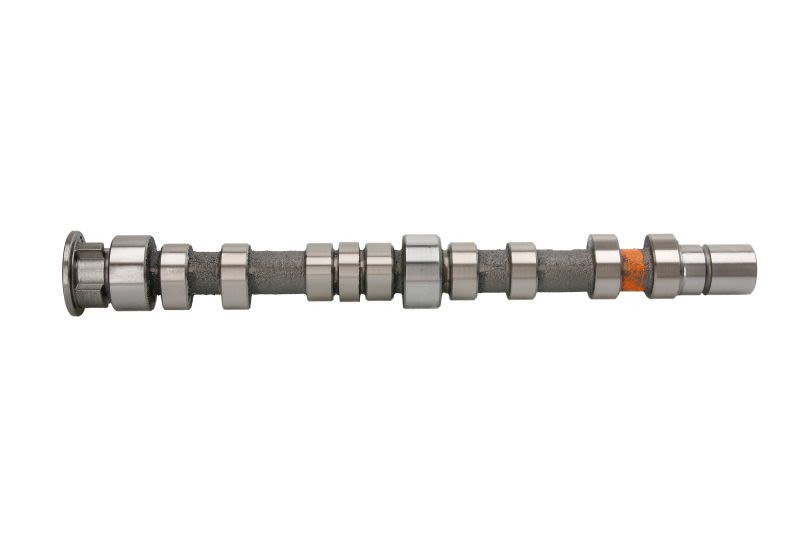Árbol de levas KOLBENSCHMIDT 50007039 para Volkswagen Golf V