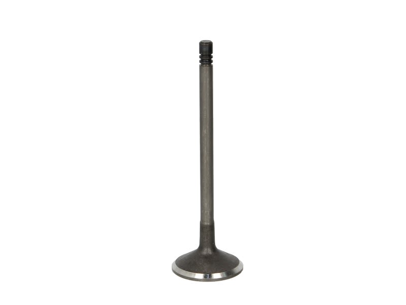 Válvula de admisión FRECCIA R6605/SNT para Volvo S60 I
