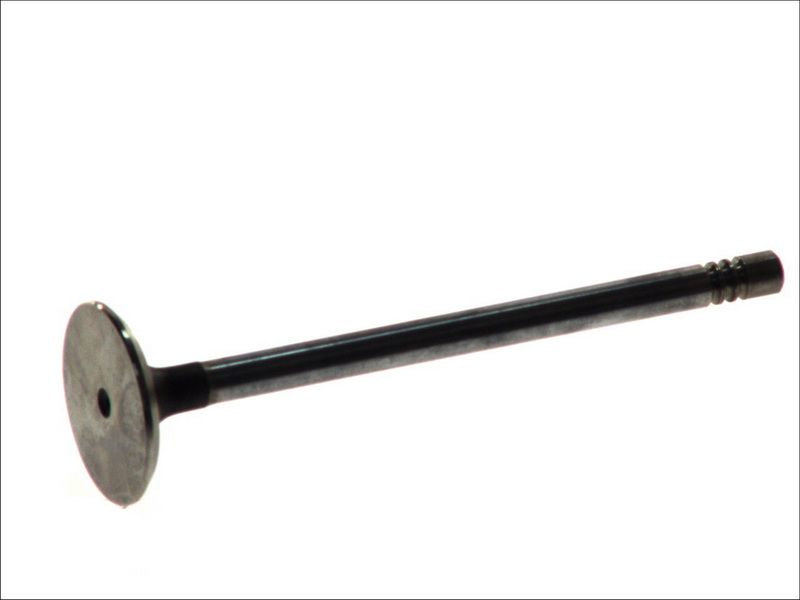 Válvula de escape FRECCIA R3616/RCR para Ford Fiesta II